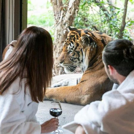 Big Cat Bungalows At The Haven - Lion 2 Canastota Luaran gambar