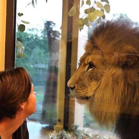 Big Cat Bungalows At The Haven - Lion 2 Canastota Luaran gambar